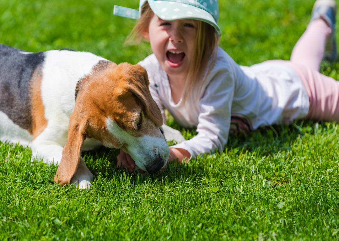 What to Do If a Dog Bites Your Child in Idaho